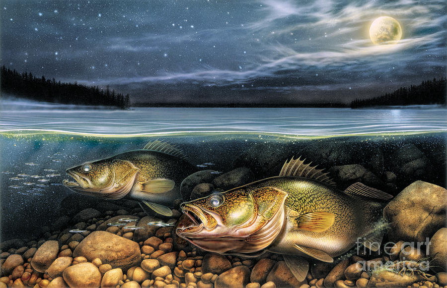 walleye paintings