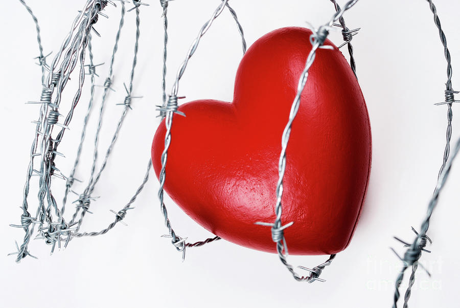 Barb Wire Heart