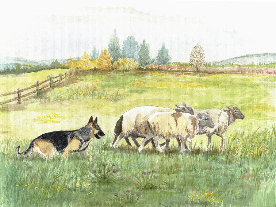 Herding By Joyce Gibson 