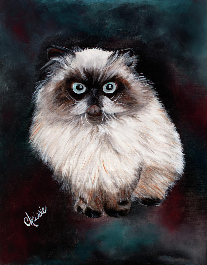 himalayan cat statue