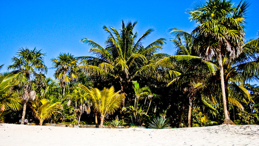  - honduras-beach-daniel-schnarr