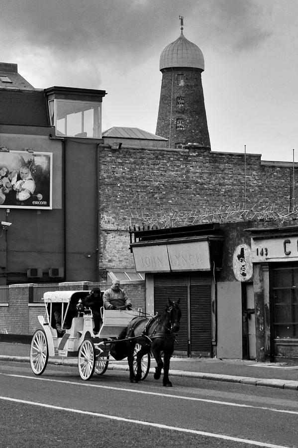 Guinness Horses