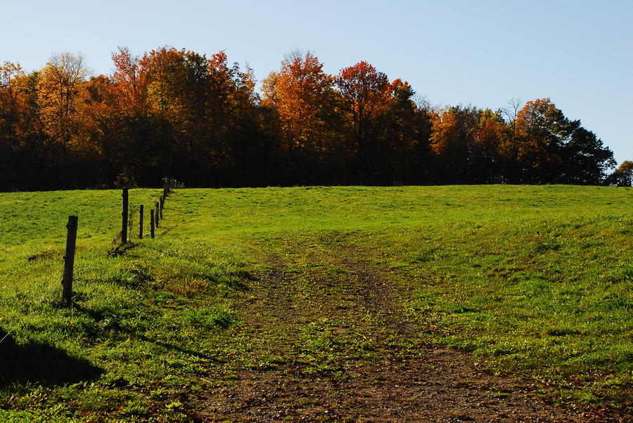  - horse-pasture-in-fall-larry-van-valkenburgh