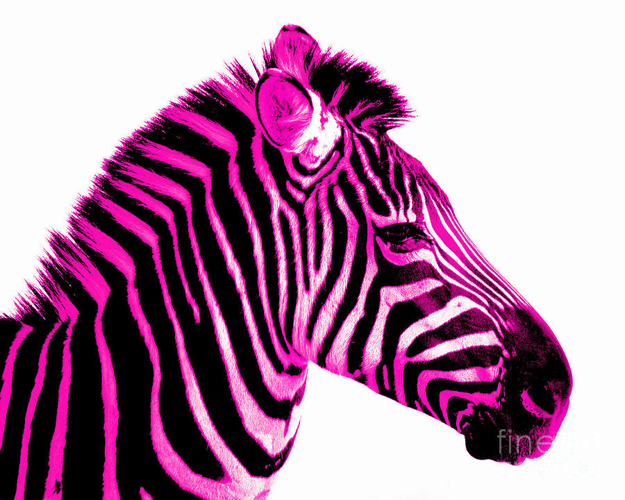 pink zebra clip art free - photo #1