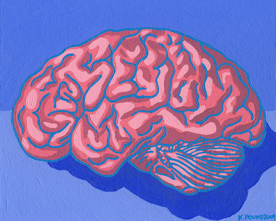Human Brain Painting Human Brain Fine Art Print
