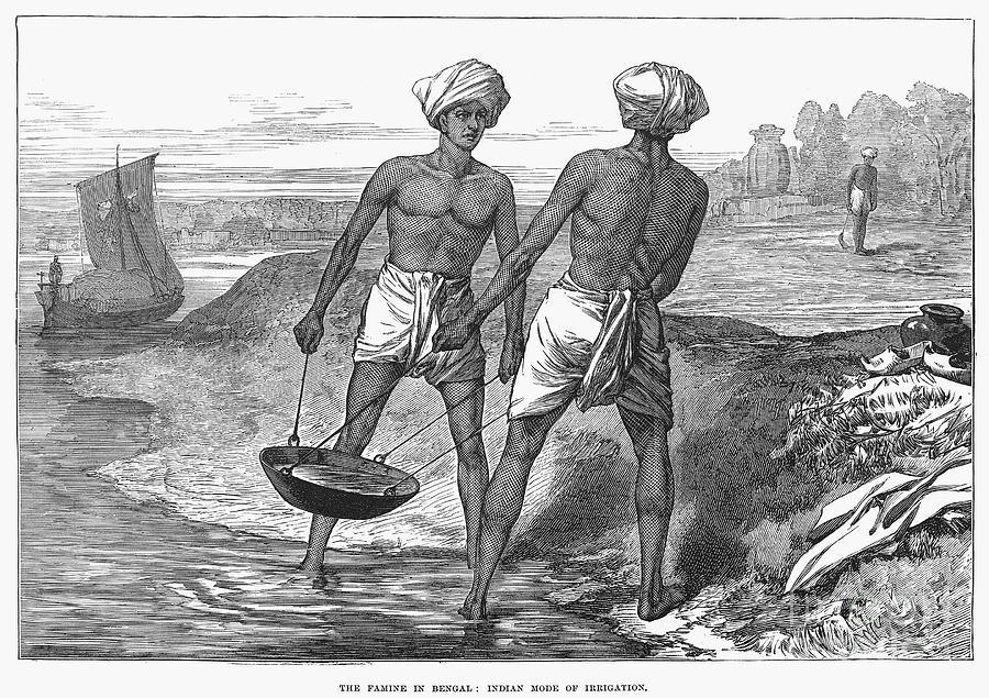 India Shadoof 1871 Photograph By Granger