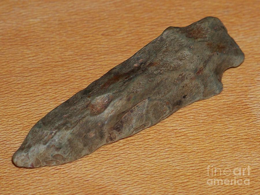 Indian Arrowhead - Photography Photograph - Indian Arrowhead