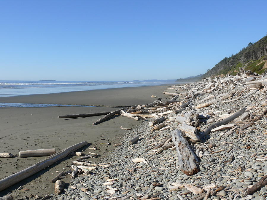 Download this Kalaloch Beach Olympic National Park Photograph picture