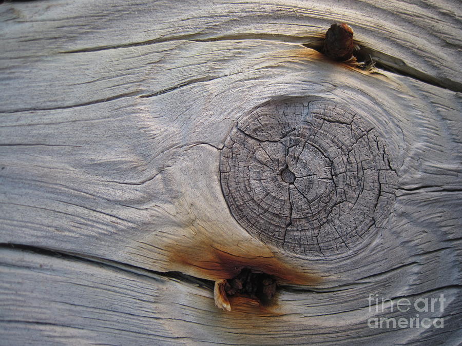 Knot Eye Photograph by Jan Prewett