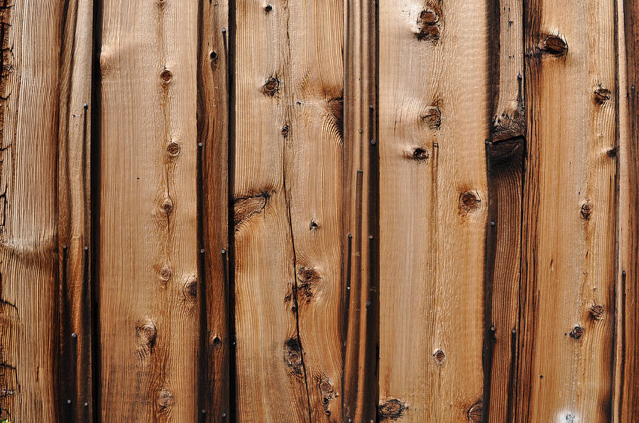 Knotty Pine Wood Background Photograph By Brandon Bourdages