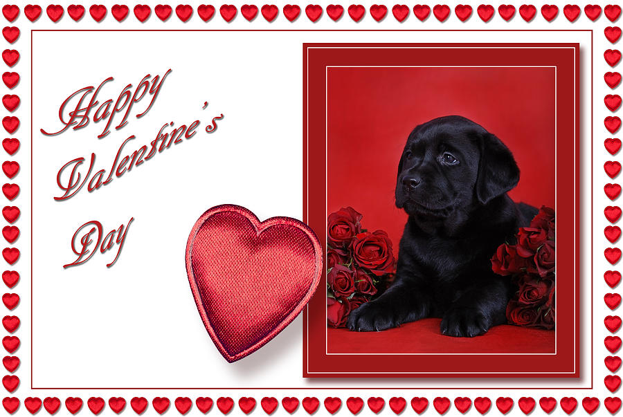 Labrador Valentine Card 2 by Waldek Dabrowski - Labrador Valentine ...