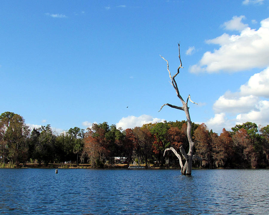 Lake Rousseau