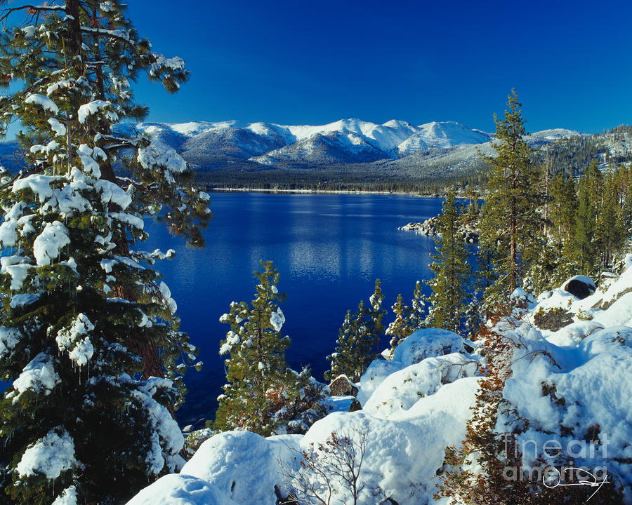 Lake Tahoe Winter by Vance Fox