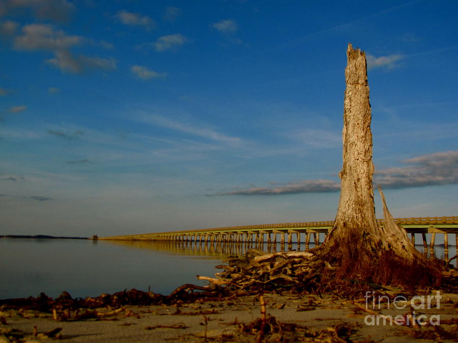  - land-of-new-beginnings-anthony-stephens