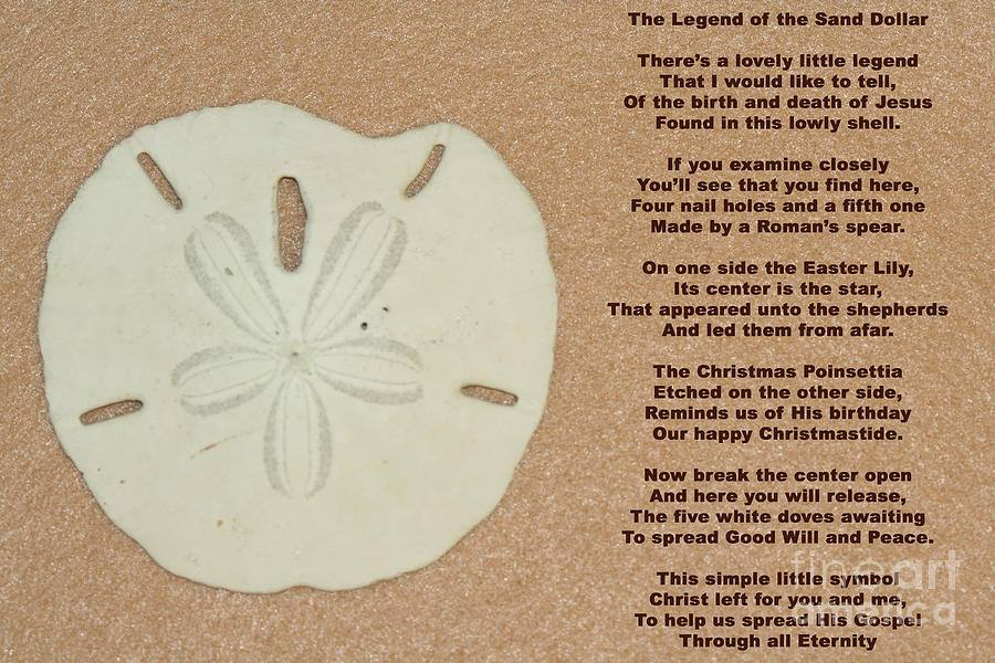 Legend Of The Sand Dollar by April Wietrecki Green