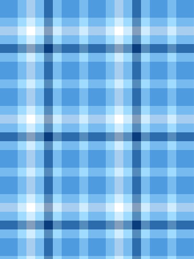 Light Blue Plaid Digital Art 2733