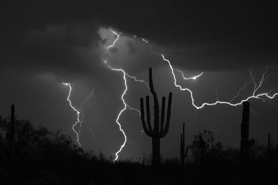 Lightning Storm Saguaro Fine Art Bw Photography by James BO Insogna