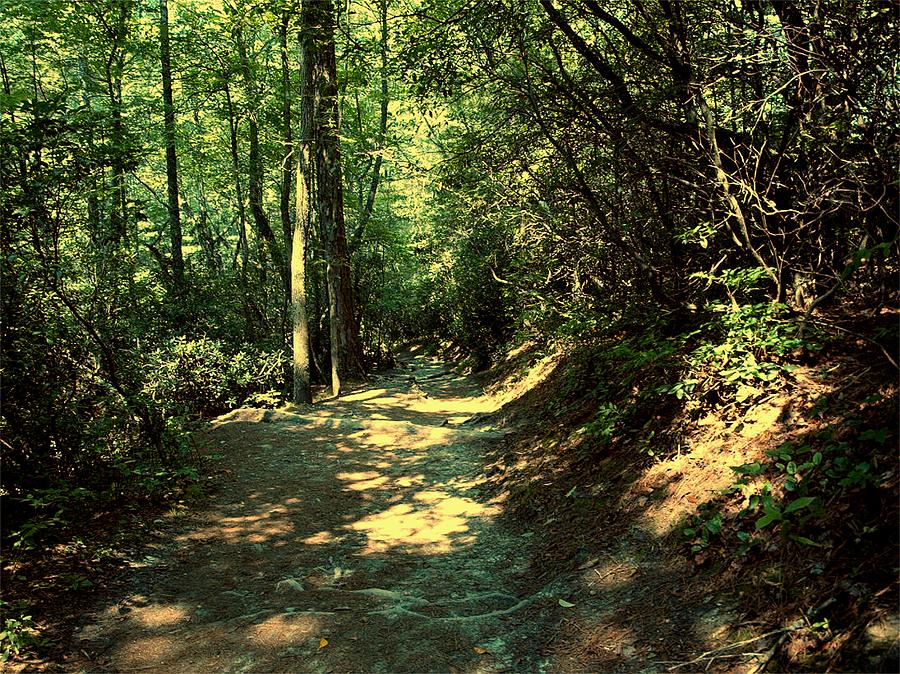 linville falls chat Pet-friendly rentals in icard, nc looking for a community in icard, nc that allows dogs or pet friendly houses featuredrentalscom has the most extensive list of. linville falls chat Pet-friendly rentals in icard, nc looking for a community in icard, nc that allows dogs or pet friendly houses featuredrentalscom has the most extensive list of.