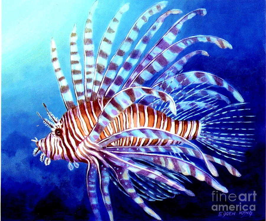 ψάρια τροπικά ψάρια Queen Angelfish Puffer Fish Parrot Fish Lionfish Butterfly fish 