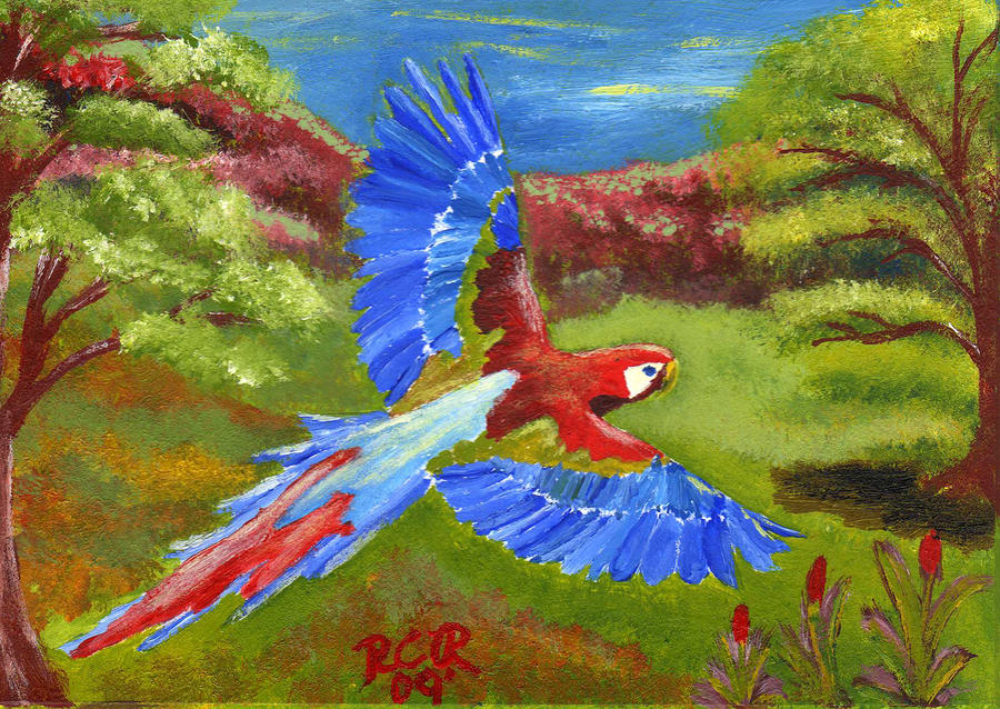  - macaw-in-flight-renee-cain-rojo