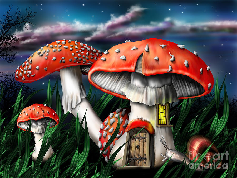  - magic-mushrooms-paul-fleet