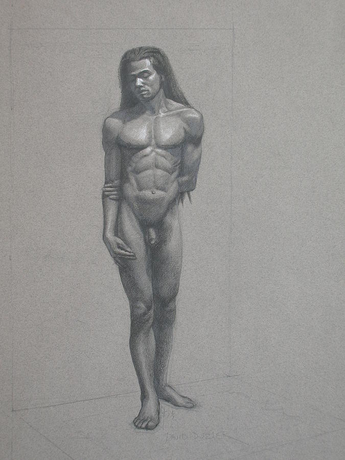 male figure study