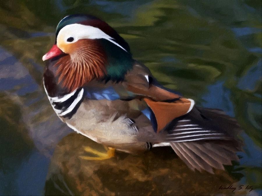 Duck Paintings