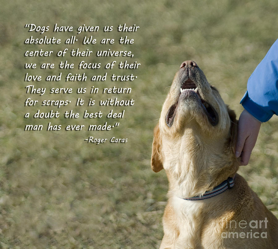 Mans Best Friend Quotes Quotesgram