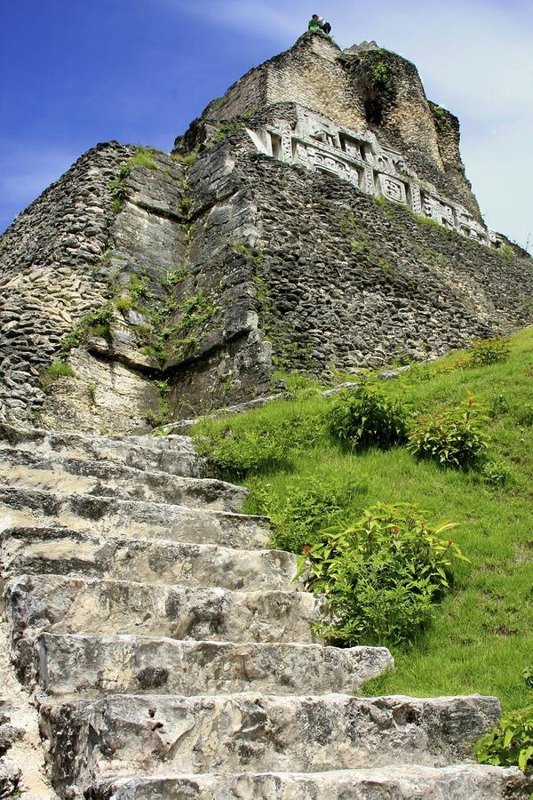 Mayan Steps