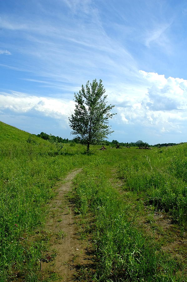  - meadow-road-mark-platt