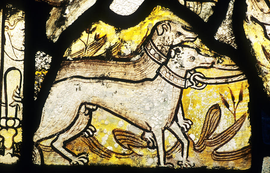  - medieval-hunting-dogs-stained-glass-window-neil-holmes