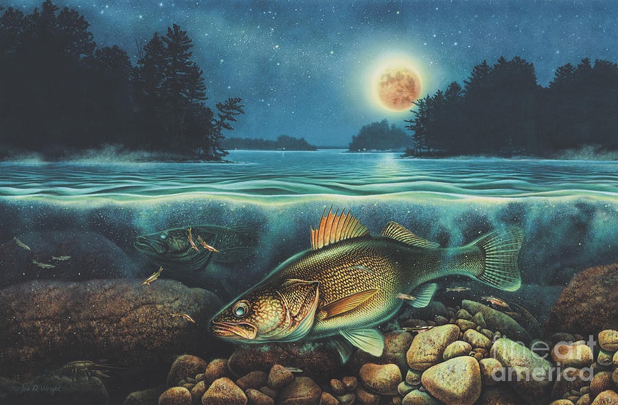 walleye paintings