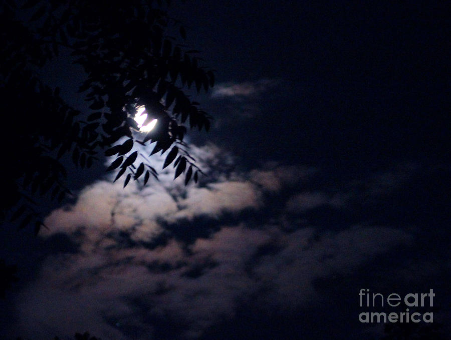 Midnights Clouds Photograph