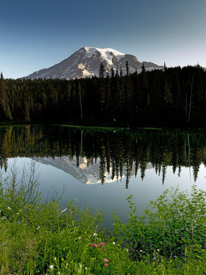 Mount Rainier From Reflection Lake Washington By Brendan Reals