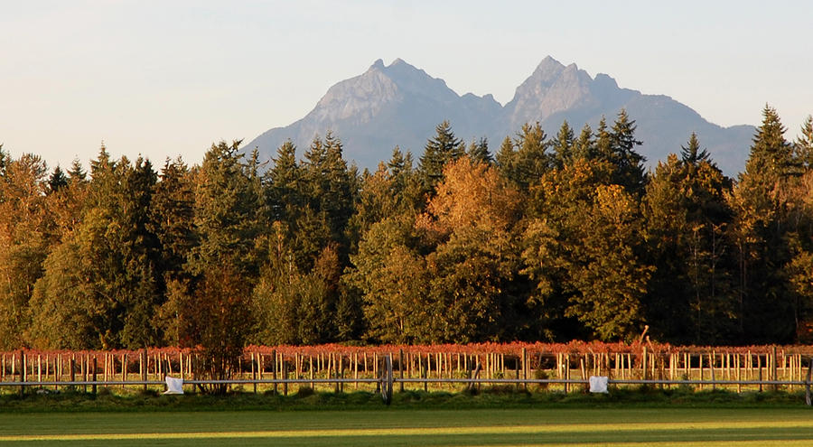 Mountain Vista From Langley Bc by Marion McCristall