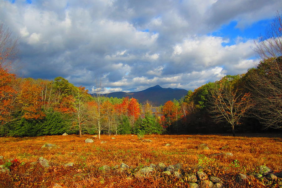 Fall In Nh