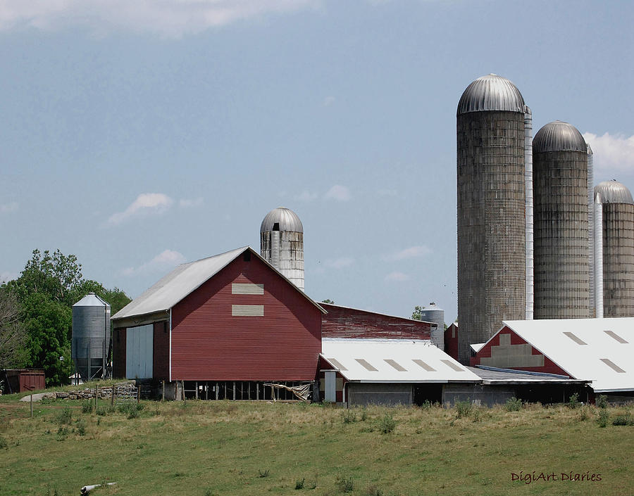 silo farms