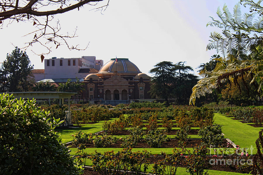Jeffersonian Natural History Museum Jeffersonian Natural History Museum
