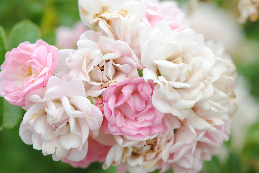 Nature Wedding Flowers