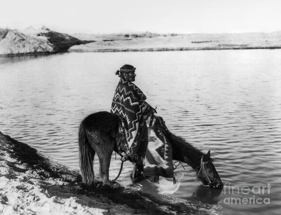 Navajo Horses