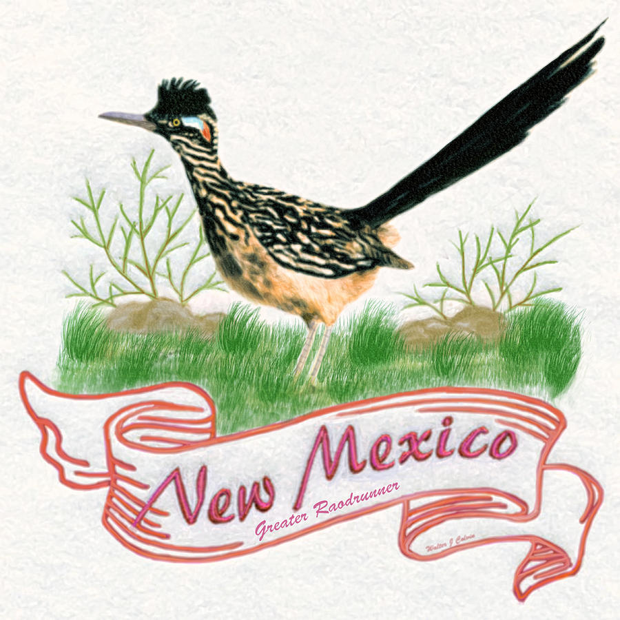 new-mexico-state-bird-the-greater-roadrunner-digital-art-by-walter-colvin