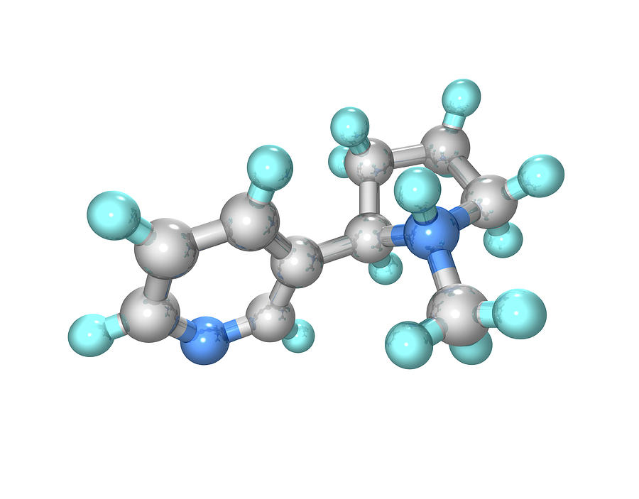 Chemicals Nicotine Patch