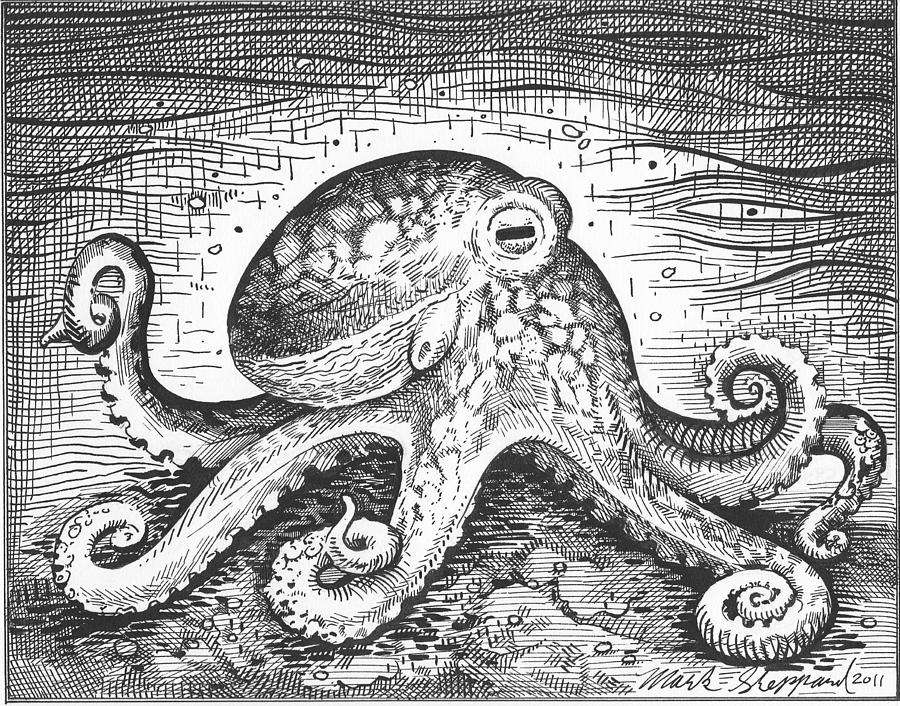 Mark Octopus