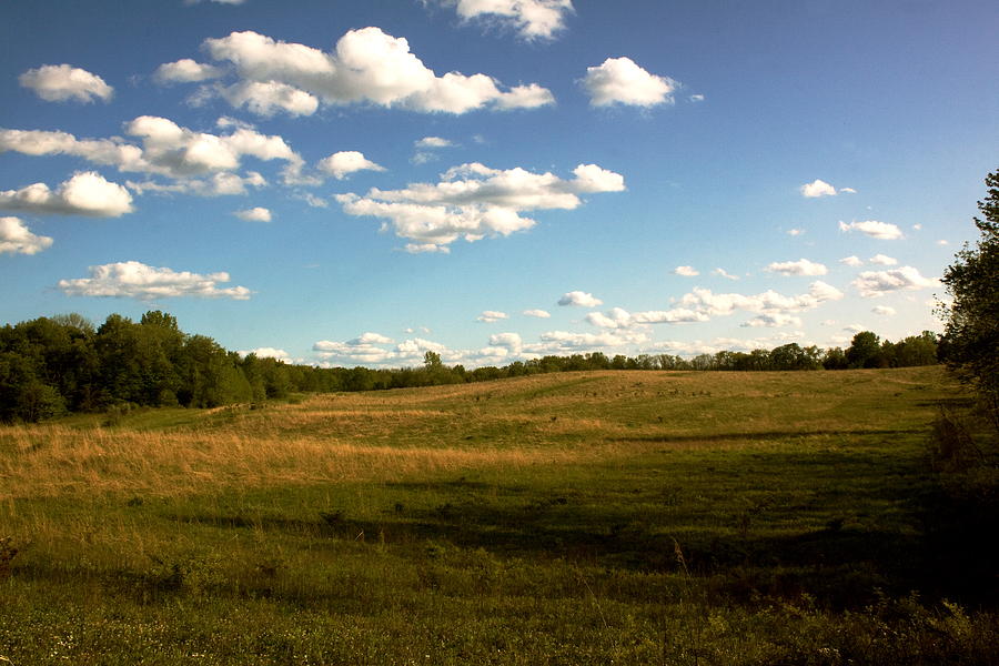 ohio landscape photograph by amanda kiplinger ohio landscape photograph by amanda kiplinger