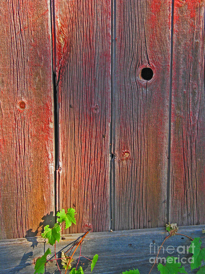 Old Barn Wood