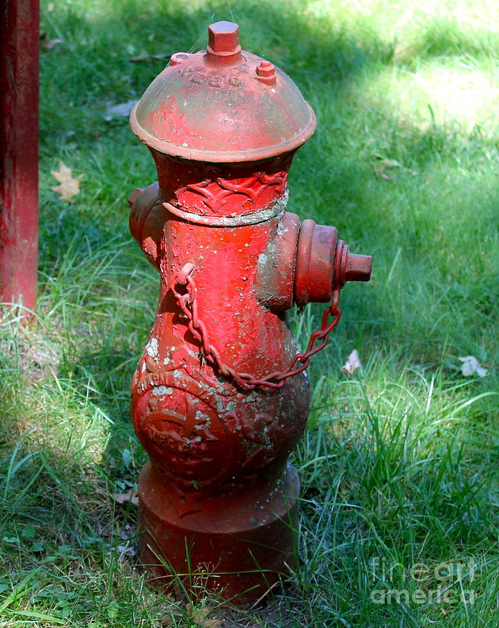 Old Fire Hydrant by Pamela Walrath