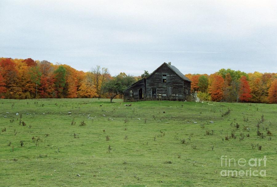 Old Homestead Pictures