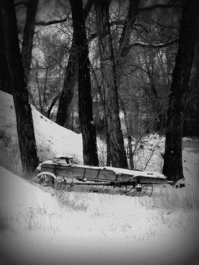 old sled