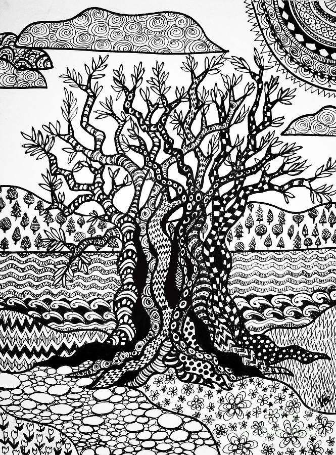 Olive Tree Drawing