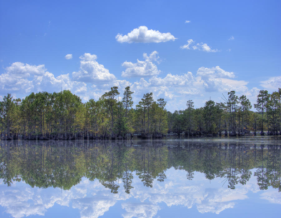 lake bistineau